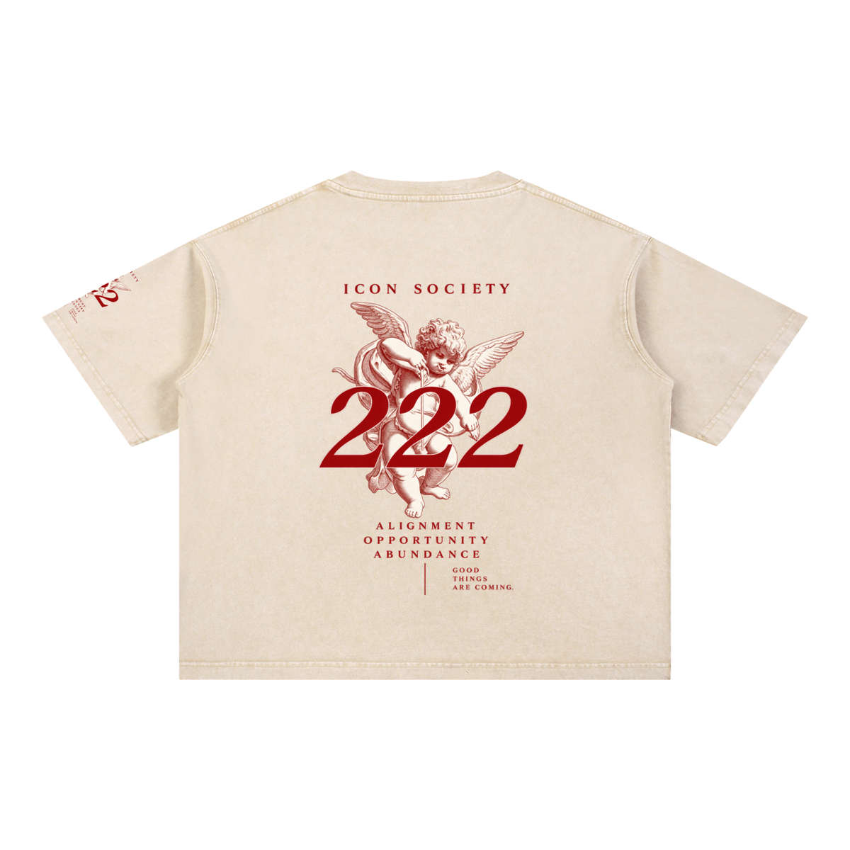Mineral Wash Boxy Cotton T-Shirt
